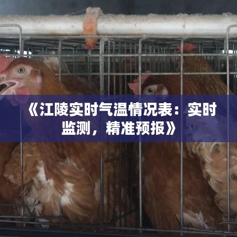 《江陵实时气温情况表：实时监测，精准预报》