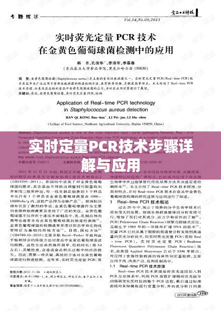 实时定量PCR技术步骤详解与应用