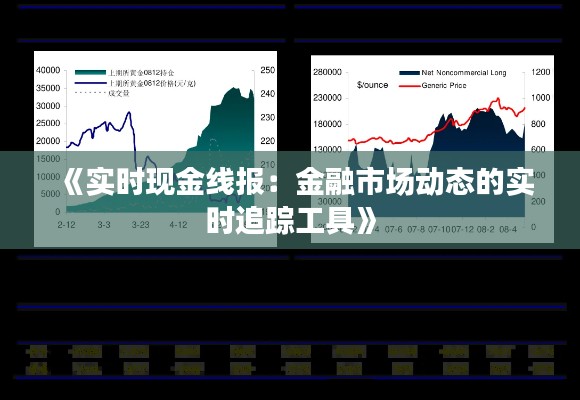 《实时现金线报：金融市场动态的实时追踪工具》