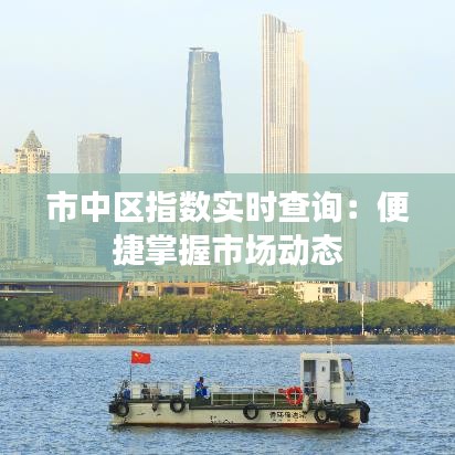 市中区指数实时查询：便捷掌握市场动态