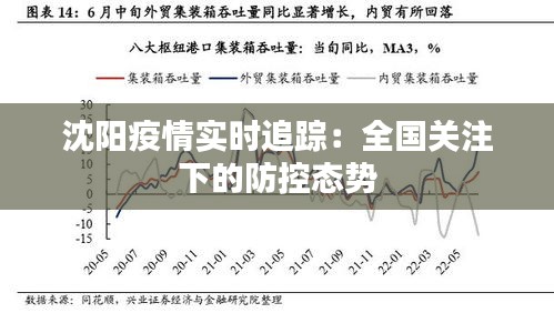 沈阳疫情实时追踪：全国关注下的防控态势