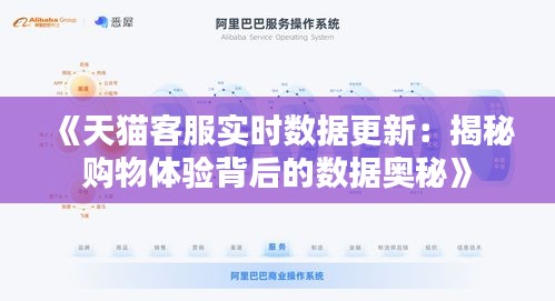 《天猫客服实时数据更新：揭秘购物体验背后的数据奥秘》