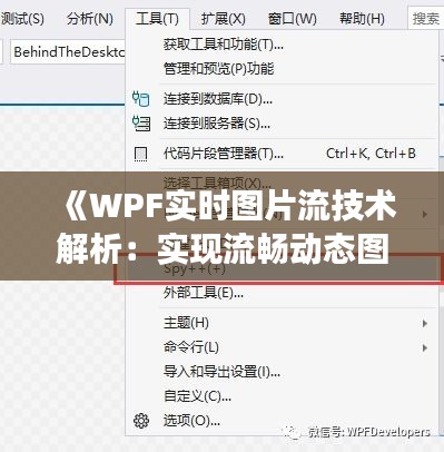 《WPF实时图片流技术解析：实现流畅动态图像展示》