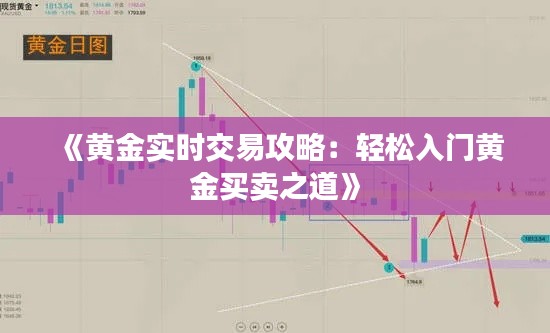《黄金实时交易攻略：轻松入门黄金买卖之道》