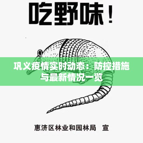 巩义疫情实时动态：防控措施与最新情况一览