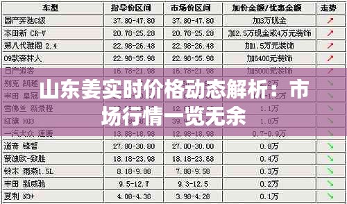 山东姜实时价格动态解析：市场行情一览无余