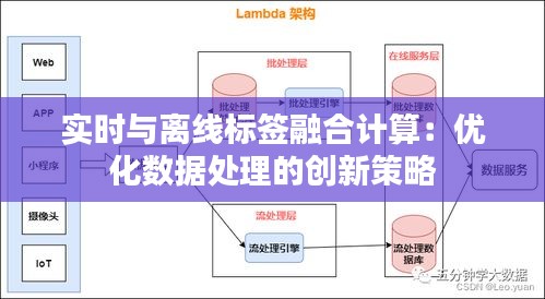 实时与离线标签融合计算：优化数据处理的创新策略