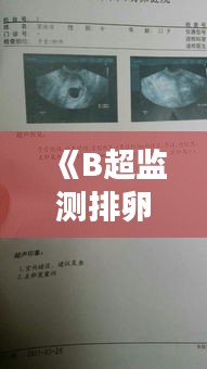 《B超监测排卵：实时追踪女性生育健康新选择》