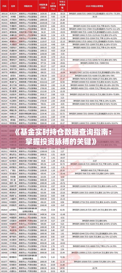《基金实时持仓数据查询指南：掌握投资脉搏的关键》