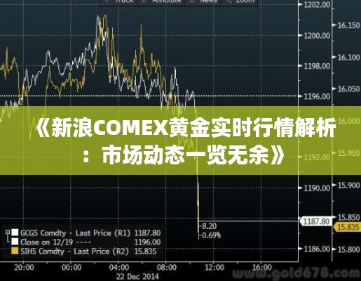 《新浪COMEX黄金实时行情解析：市场动态一览无余》
