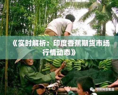 《实时解析：印度香蕉期货市场行情动态》