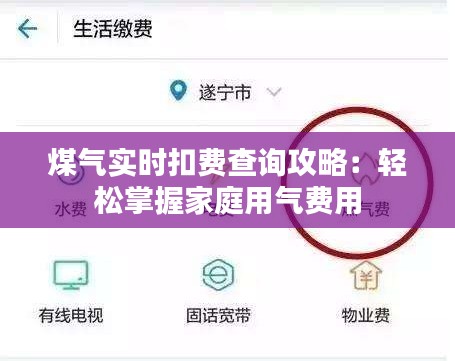 煤气实时扣费查询攻略：轻松掌握家庭用气费用