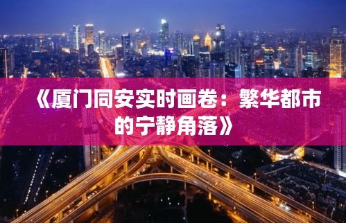 《厦门同安实时画卷：繁华都市的宁静角落》