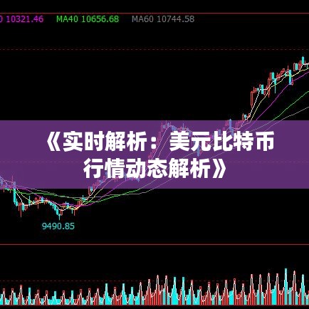《实时解析：美元比特币行情动态解析》