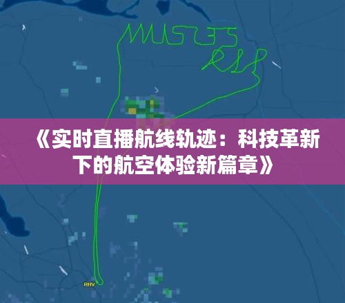 《实时直播航线轨迹：科技革新下的航空体验新篇章》