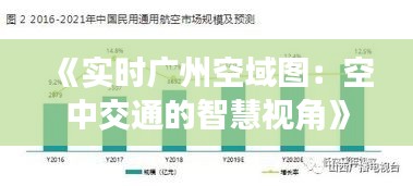 《实时广州空域图：空中交通的智慧视角》