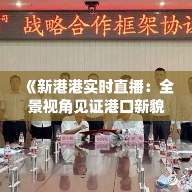 《新港港实时直播：全景视角见证港口新貌》