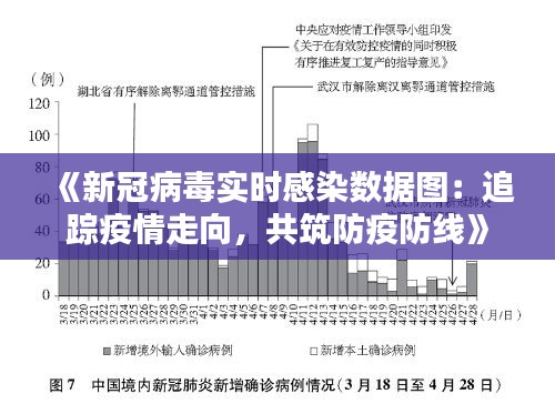 《新冠病毒实时感染数据图：追踪疫情走向，共筑防疫防线》