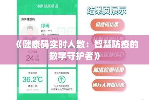 《健康码实时人数：智慧防疫的数字守护者》