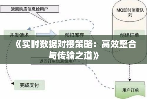 《实时数据对接策略：高效整合与传输之道》