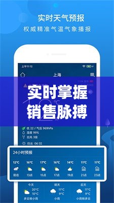 实时掌握销售脉搏——销售额度数据APP深度解析