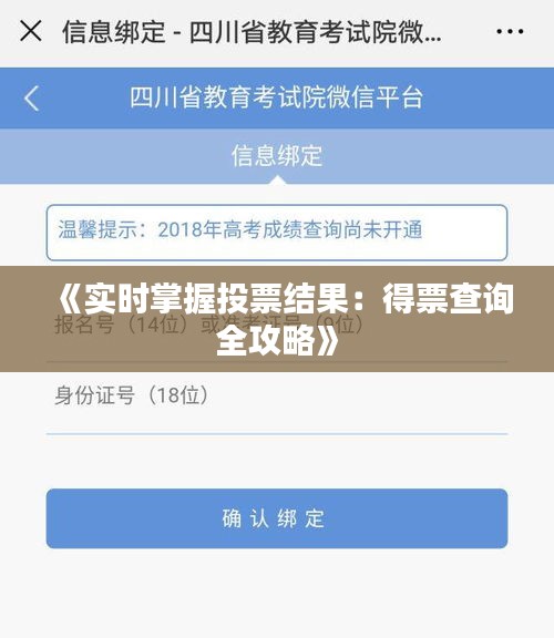 《实时掌握投票结果：得票查询全攻略》