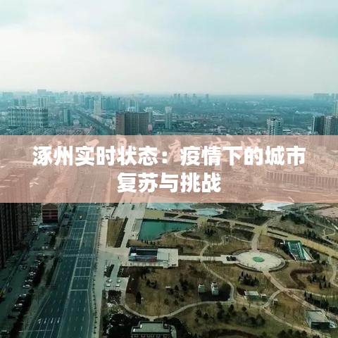 涿州实时状态：疫情下的城市复苏与挑战