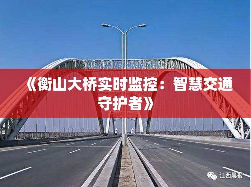 《衡山大桥实时监控：智慧交通守护者》