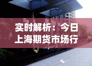 实时解析：今日上海期货市场行情动态