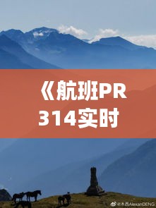 《航班PR314实时追踪：掌握动态信息，轻松出行无忧》
