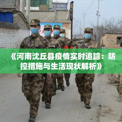 《河南沈丘县疫情实时追踪：防控措施与生活现状解析》