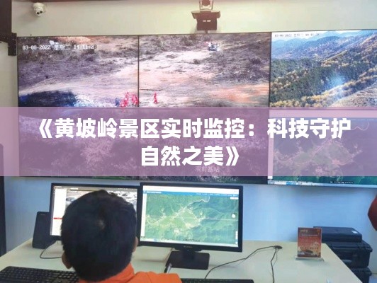 《黄坡岭景区实时监控：科技守护自然之美》