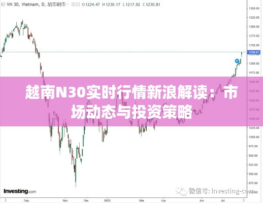 越南N30实时行情新浪解读：市场动态与投资策略