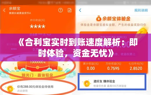 《合利宝实时到账速度解析：即时体验，资金无忧》