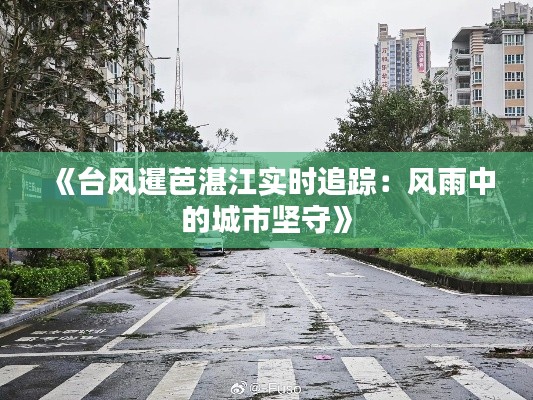 《台风暹芭湛江实时追踪：风雨中的城市坚守》