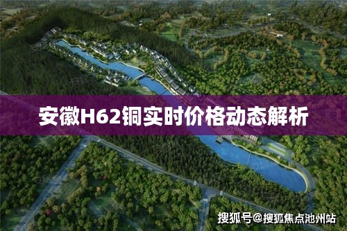 安徽H62铜实时价格动态解析