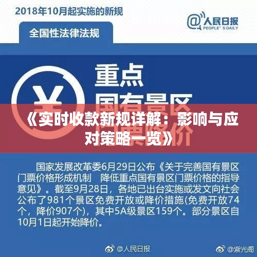 《实时收款新规详解：影响与应对策略一览》