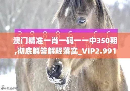 澳门精准一肖一码一一中350期,彻底解答解释落实_VIP2.991