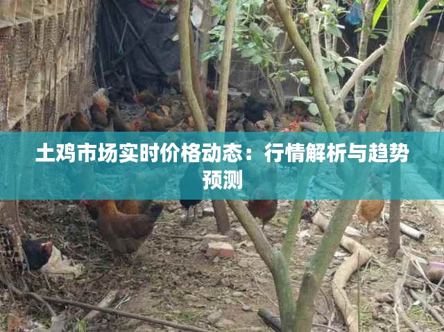 土鸡市场实时价格动态：行情解析与趋势预测