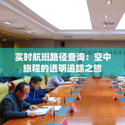 实时航班路径查询：空中旅程的透明追踪之旅