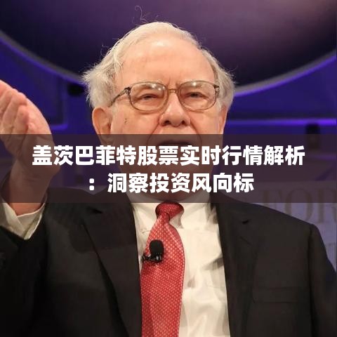盖茨巴菲特股票实时行情解析：洞察投资风向标