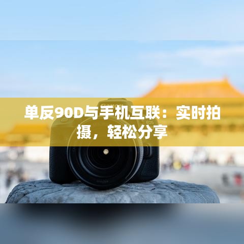 单反90D与手机互联：实时拍摄，轻松分享
