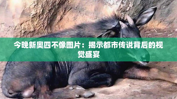 今晚新奥四不像图片：揭示都市传说背后的视觉盛宴