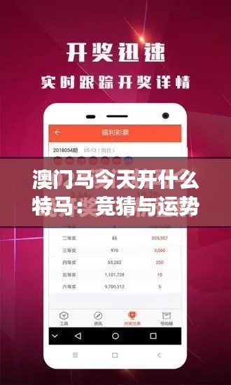 澳门马今天开什么特马：竞猜与运势的博弈
