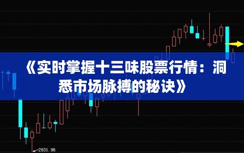《实时掌握十三味股票行情：洞悉市场脉搏的秘诀》