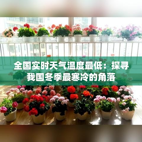 将机就机 第3页