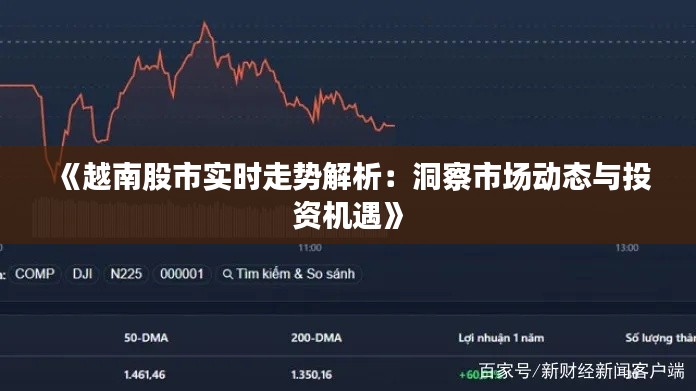 《越南股市实时走势解析：洞察市场动态与投资机遇》