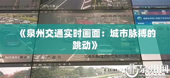 《泉州交通实时画面：城市脉搏的跳动》