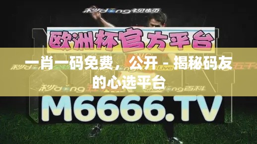 一肖一码免费，公开 - 揭秘码友的心选平台