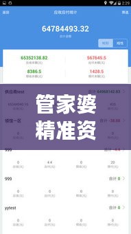 管家婆精准资料免费大全香港353期：企业资源优化秘籍